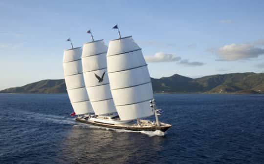 Maltese Falcon
