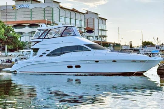SEA RAY 58 SEDAN BRIDGE