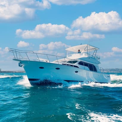 MIKELSON 50 LUXURY SF