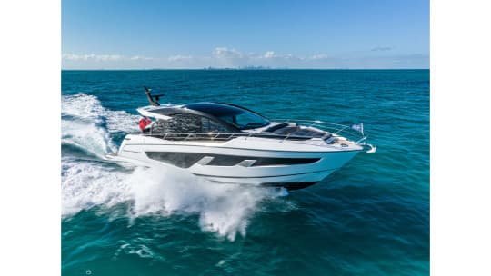 PREDATOR 65