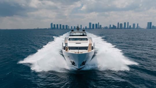 CHAMELEON